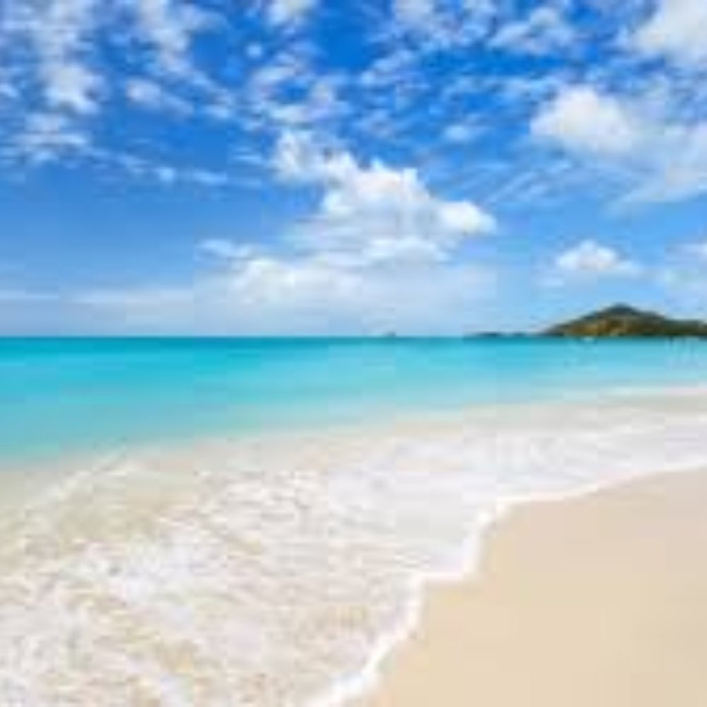 Meet your Posher, Berry